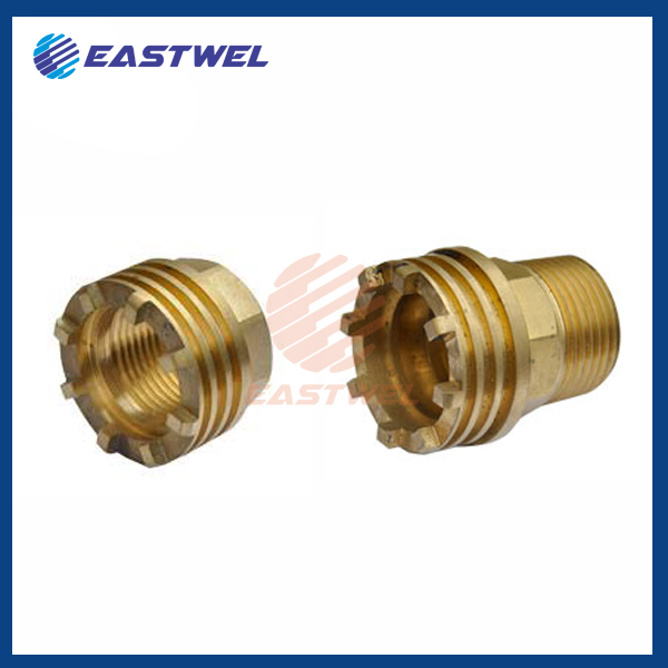 BRASS PPR INSERT