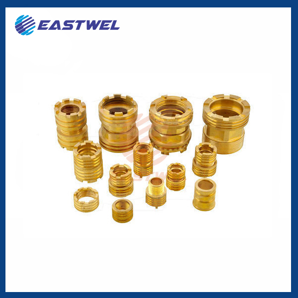 BRASS PPR INSERT